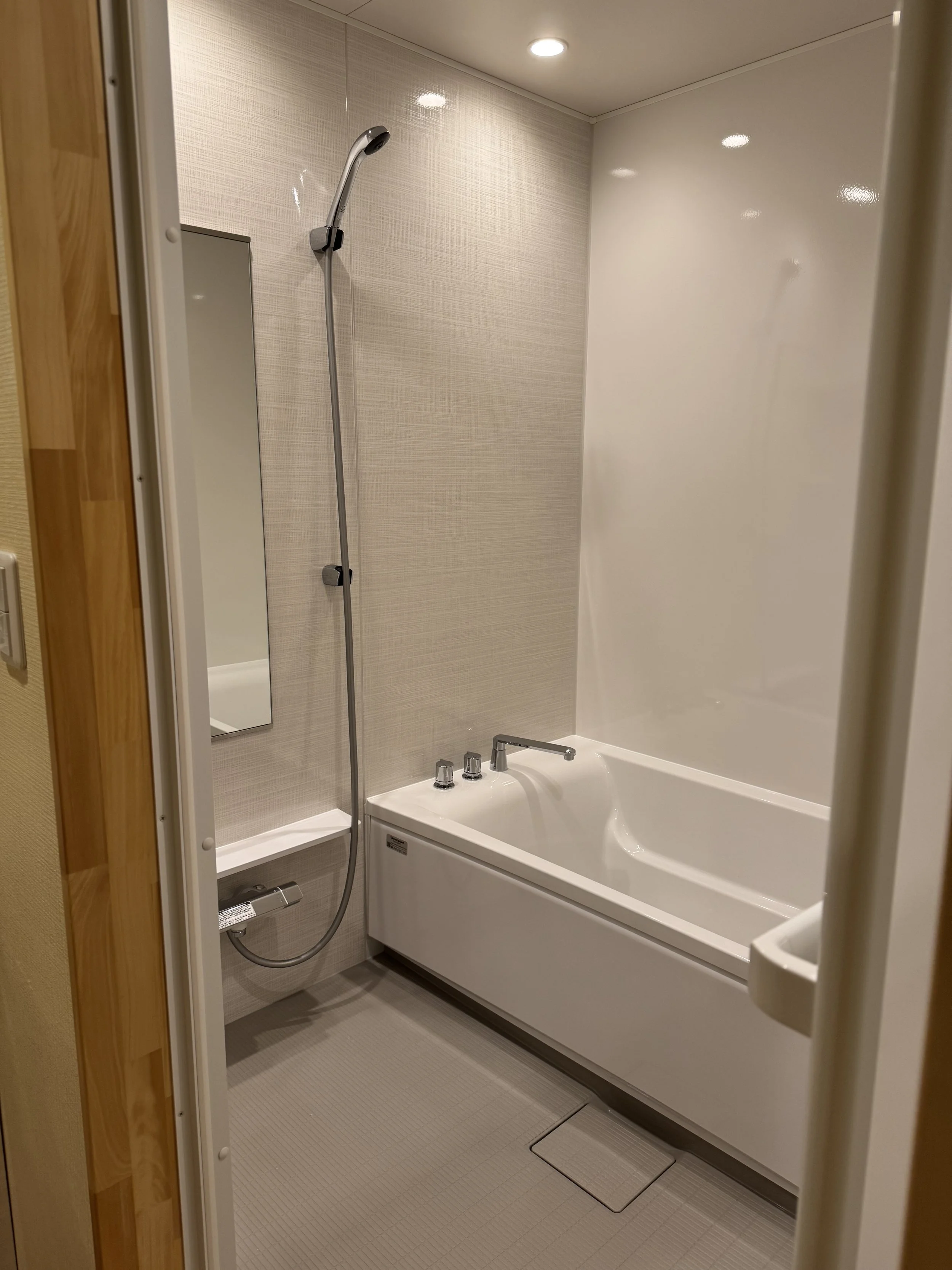 Deluxe Two Bedroom Apartment detail