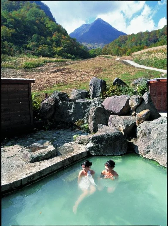 Tsubame Highland Lodge open-air bath