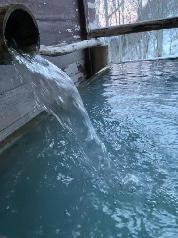 Tsubame Highland Lodge hot spring
