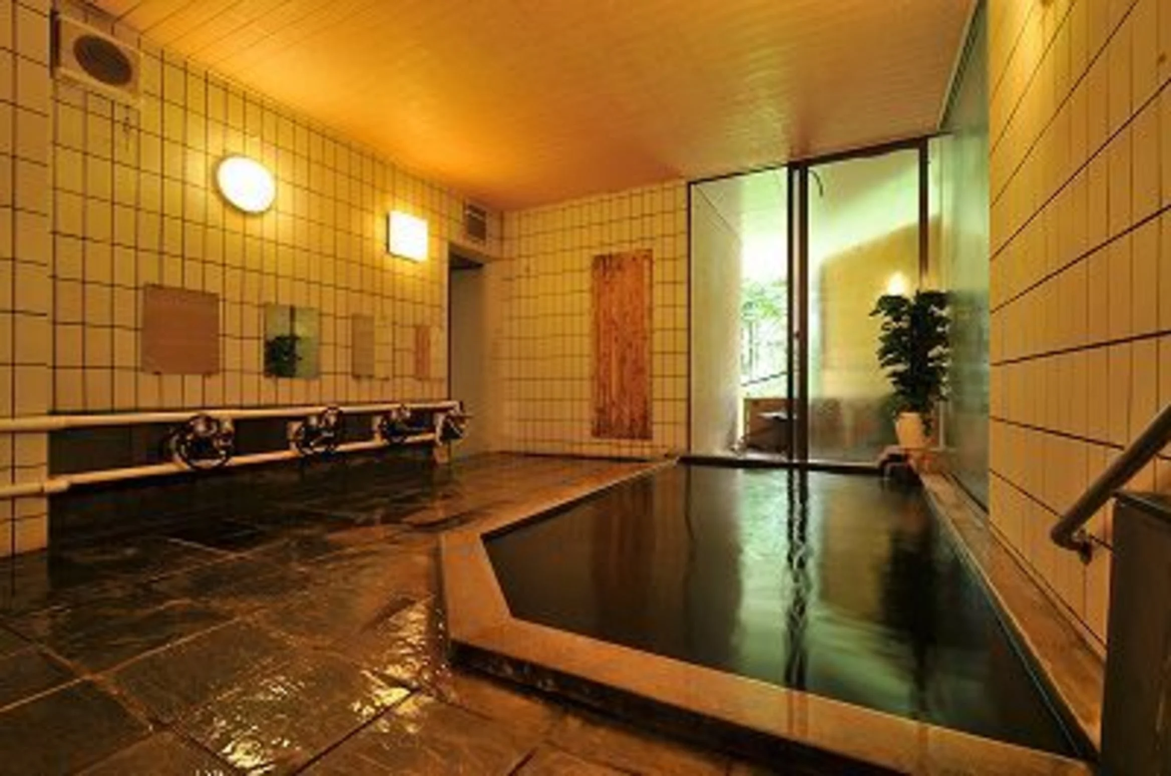 Tsubame Highland Lodge indoor bath