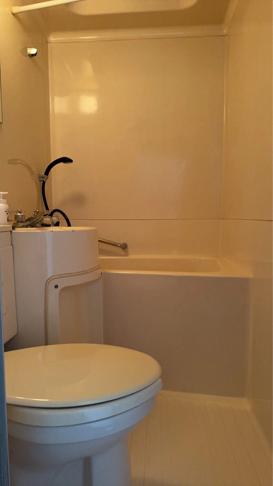 Tsubame Highland Lodge private toilet