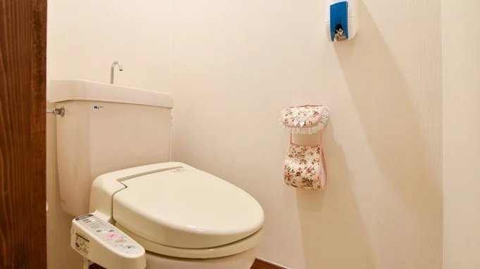 Private toilet