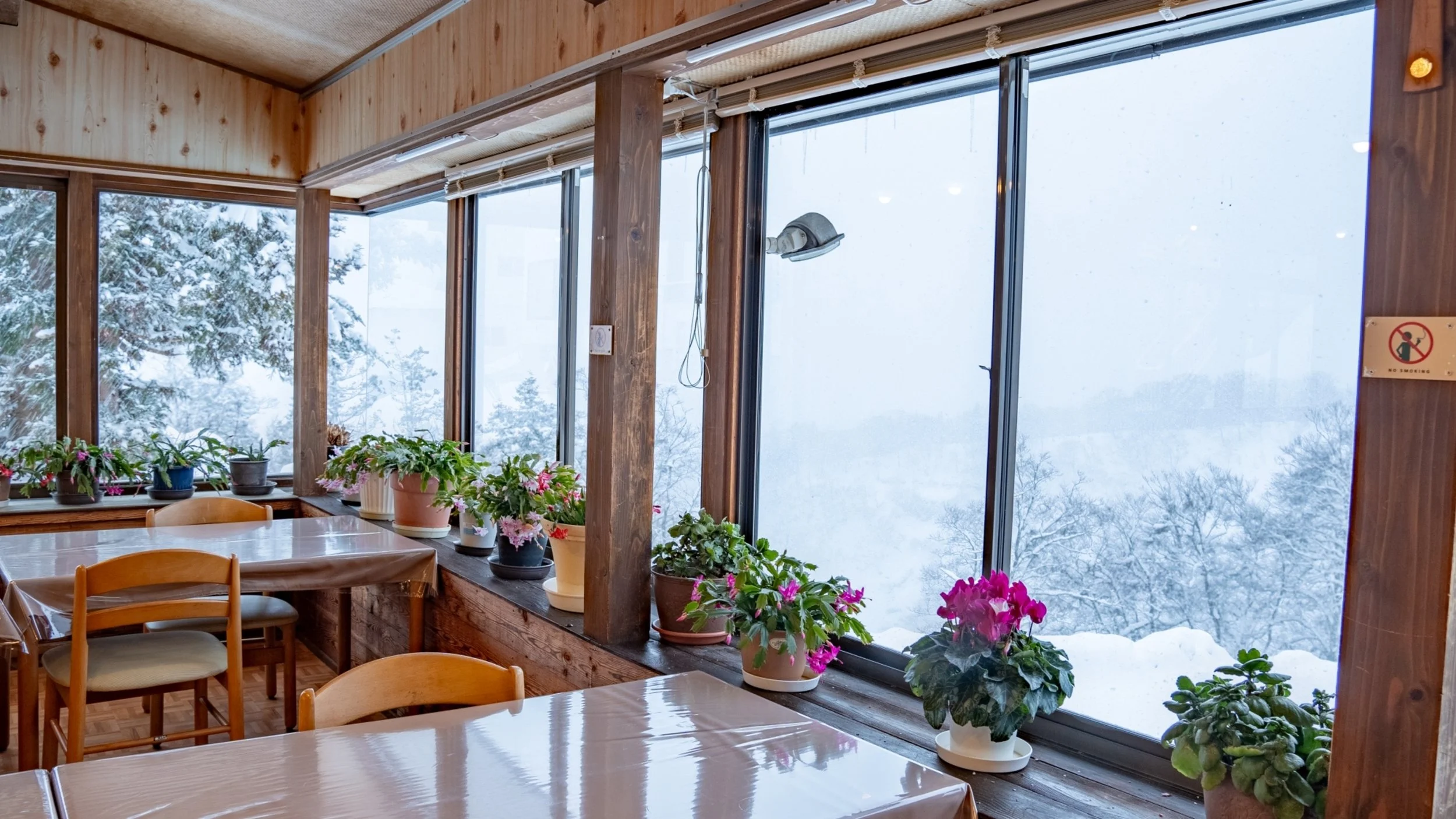 Yamanoyu Sekizen sunroom